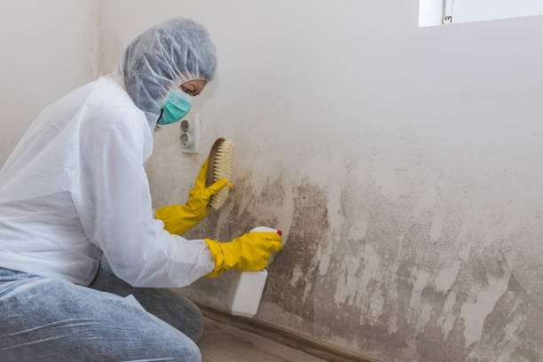 Best Forensic Mold Investigation  in Mount Union, PA